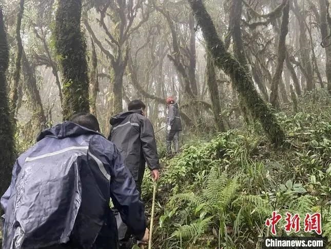 圖為救援現場。鎮(zhèn)沅縣委宣傳部提供