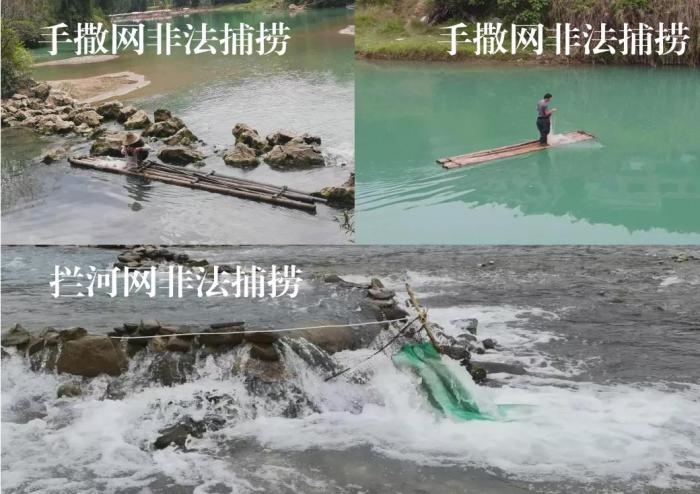 2021年9—10月，前期暗查發(fā)現(xiàn)，保護(hù)區(qū)核心區(qū)內(nèi)非法捕撈行為十分猖獗