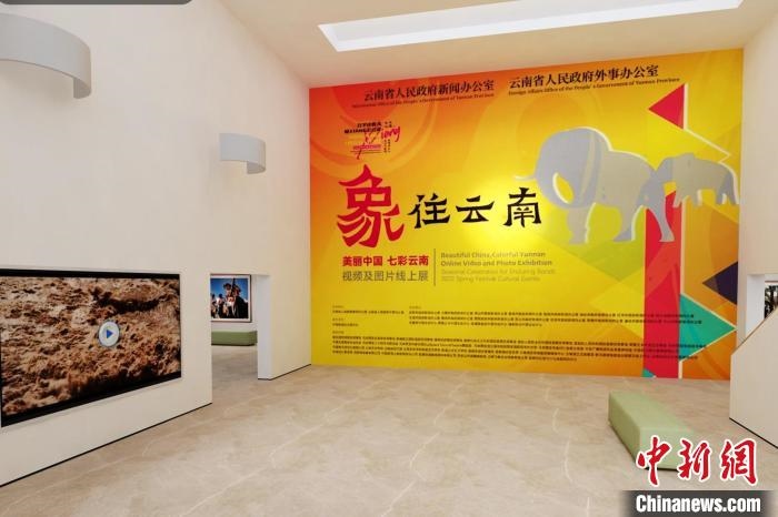 圖為“象”往云南——美麗中國 七彩云南視頻及圖片線上展截圖?！『h航 攝