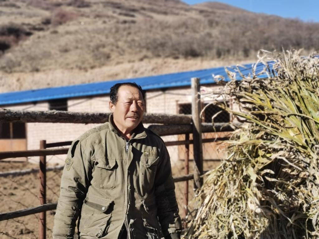 1月19日，山西省岢嵐縣脫貧戶呂如堂在牛圈前準備草料。新華社記者 梁曉飛 攝