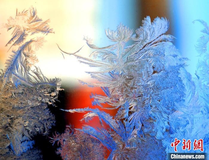 冰窗花千姿百態(tài)?！O書(shū)程 攝