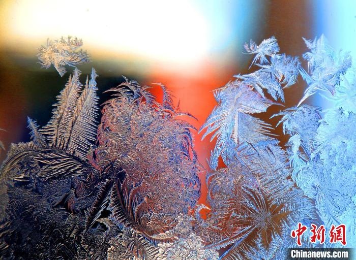 惟妙惟肖的冰窗花，似一幅風(fēng)景畫(huà)?！O書(shū)程 攝