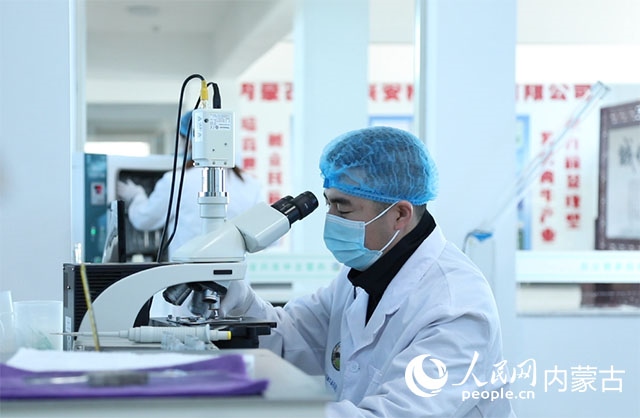 內(nèi)蒙古中農(nóng)興安種牛科技有限公司落戶科右中旗，為肉牛產(chǎn)業(yè)發(fā)展提供了優(yōu)質(zhì)的種源保障。白俊華攝