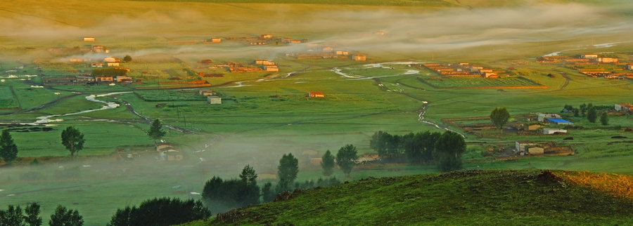 在“螞蟻森林”項(xiàng)目區(qū)，群眾攜手共添新綠（攝影：刁博禹）.jpg