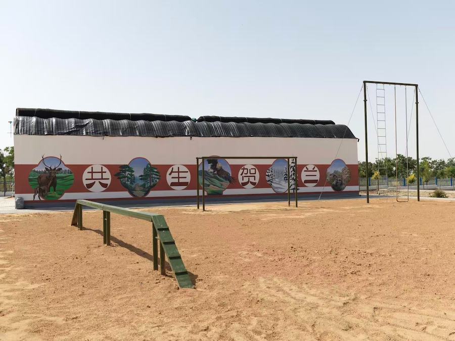 1757674428452565.jpeg WechatIMG10145.jpeg