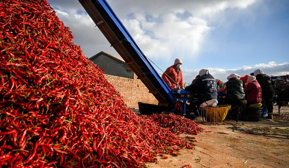 1761100022129813.jpg 8.jpg