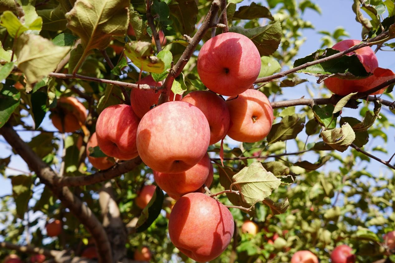 1761115689111443.png 4.png