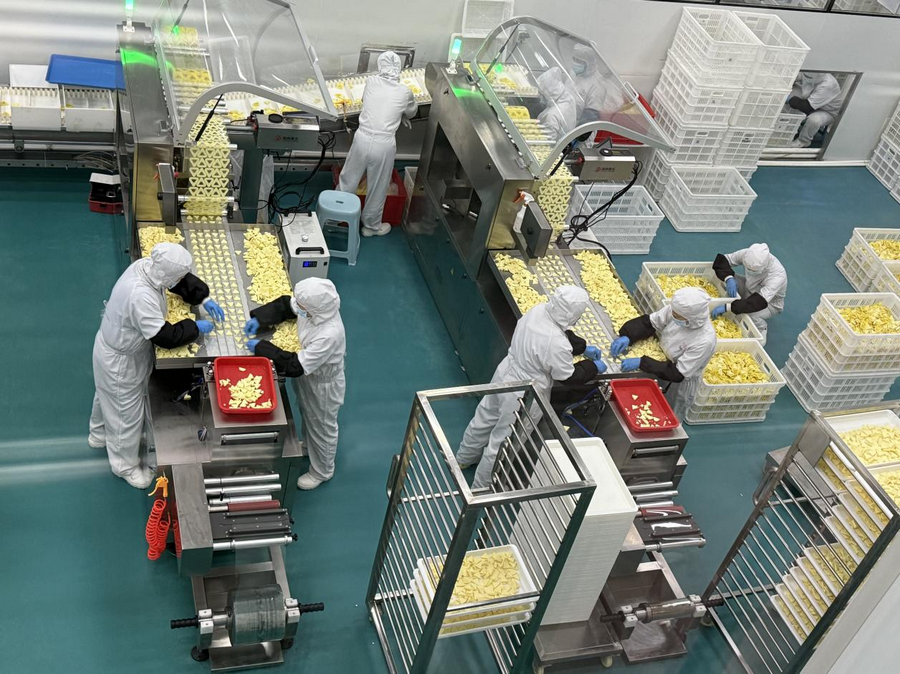 1764830026129568.png _DSC2271.png