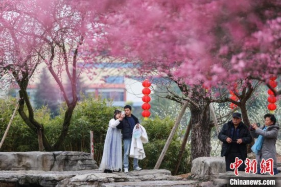 2月23日，市民在乾藝梅園景區(qū)觀賞綻放的梅花。瞿宏倫 攝