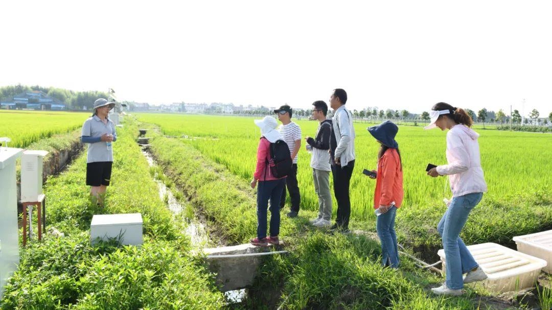 △云南大理古生村科技小院成員在田間調(diào)查。