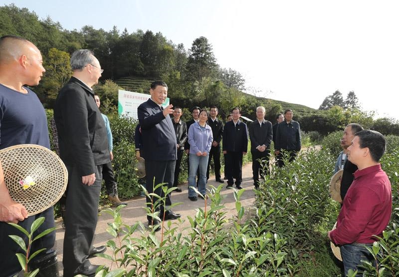 2021年3月22日，習近平總書記在福建南平武夷山市星村鎮(zhèn)燕子窠生態(tài)茶園，同科技特派員、茶農(nóng)親切交流，了解當?shù)夭璁a(chǎn)業(yè)發(fā)展情況。