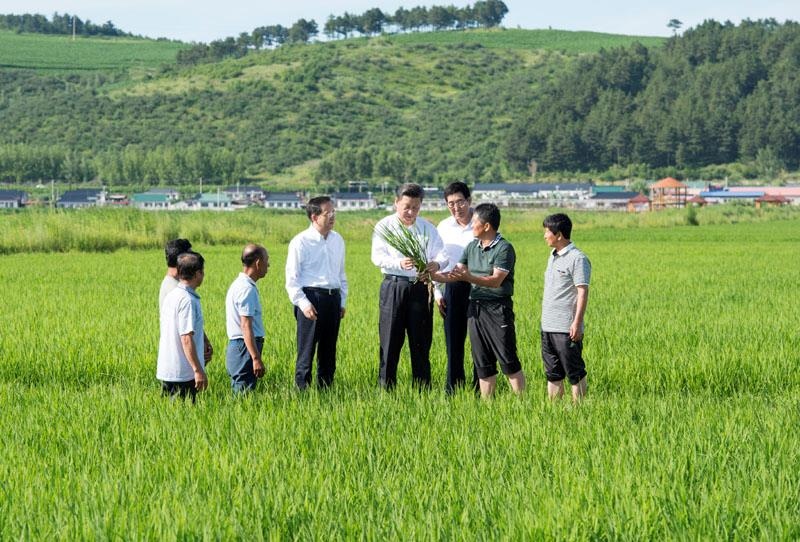 2015年7月16日，習近平總書記在吉林延邊州光東村稻田同村民和農(nóng)技人員交流。