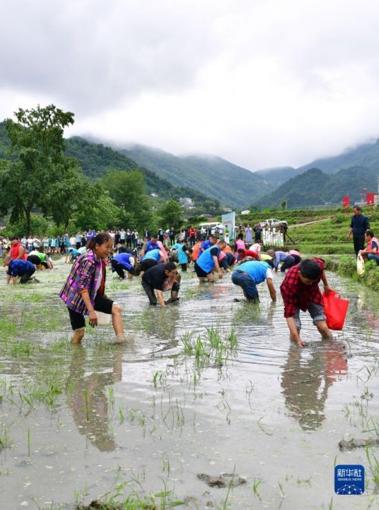 5月27日，秭歸縣九畹溪鎮(zhèn)農(nóng)民參加摸魚比賽。