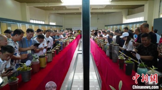 圖為活動現場。 云南省委臺辦供圖