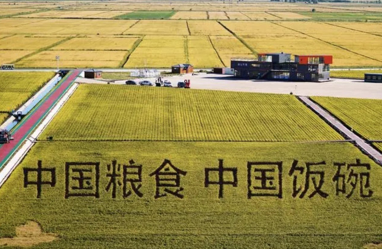 2022年9月2日，黑龍江省富錦市萬畝水稻科技示范園內(nèi)的稻田畫。