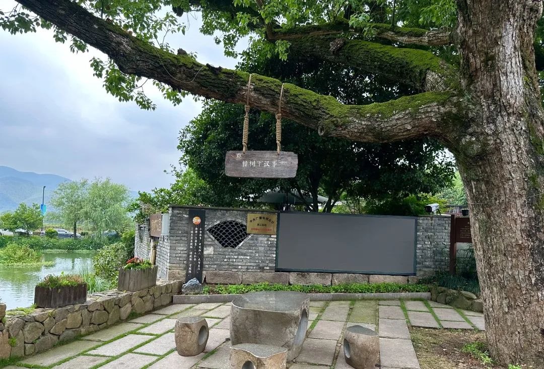 浙江省杭州市余杭區(qū)小古城村的“樟樹下議事”木制字牌。靜玄 攝