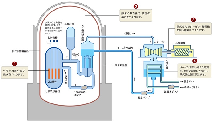 核電站運作原理圖。通常的核電站排水未直接接觸核燃料。（圖片來源：日本北海道電力株式會社網(wǎng)站）