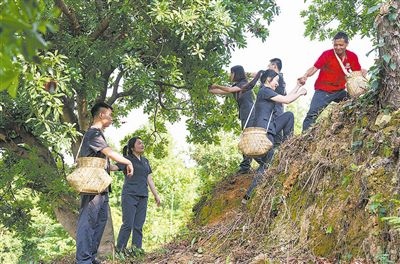 村民幫助志愿者爬上山坡。