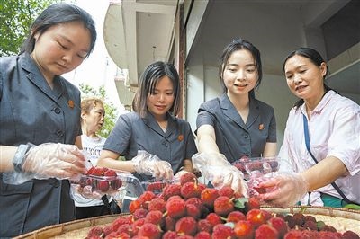 志愿者和村民一起將摘下的楊梅裝進(jìn)食品盒里。