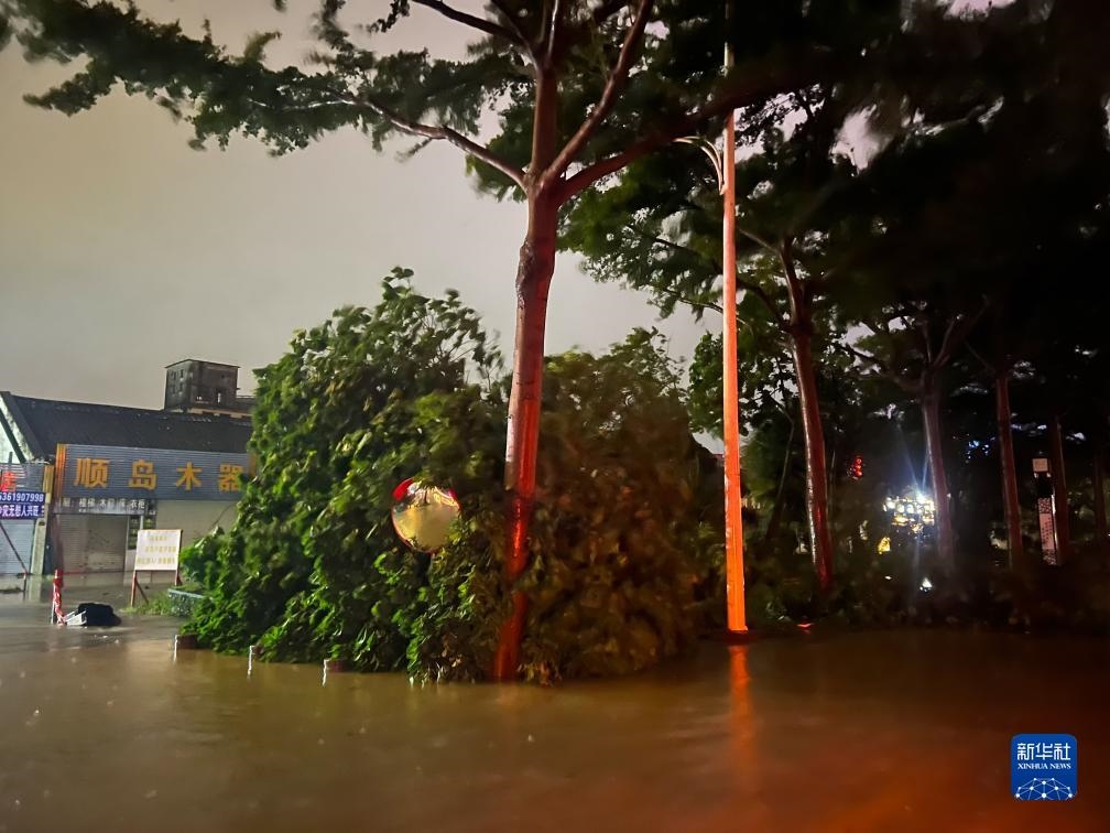 7月17日晚，在廣東湛江海濱大道北，路邊的樹木被風(fēng)刮倒（手機(jī)照片）。新華社記者 鄧華 攝