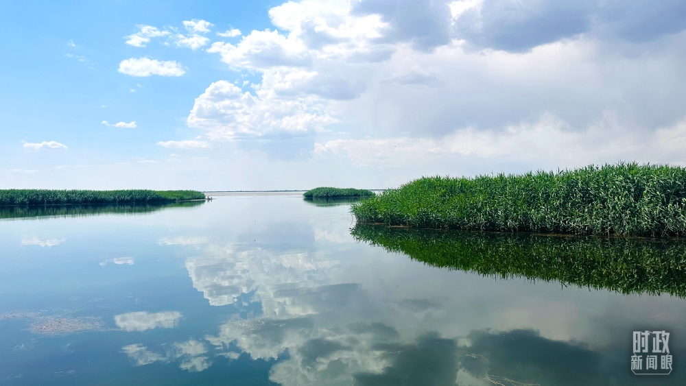 內(nèi)蒙古烏梁素海，是黃河流域最大的湖泊濕地。（總臺央視記者范一鳴拍攝）