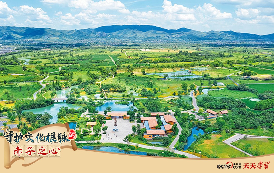 圖為2021年7月拍攝的良渚古城遺址公園。