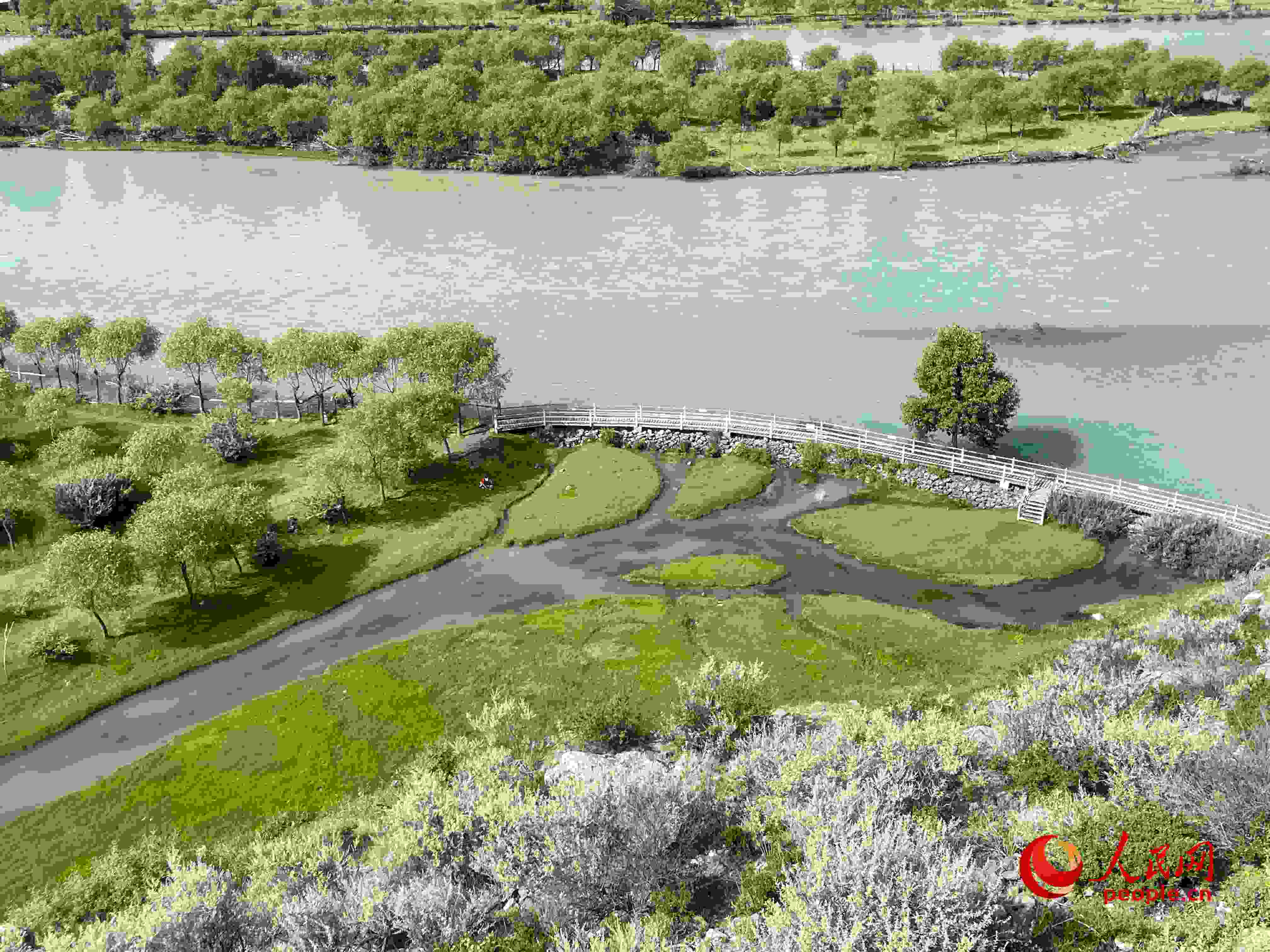 夏日的雅尼國家濕地公園生機(jī)盎然，如詩如畫。人民網(wǎng) 周靜圓攝