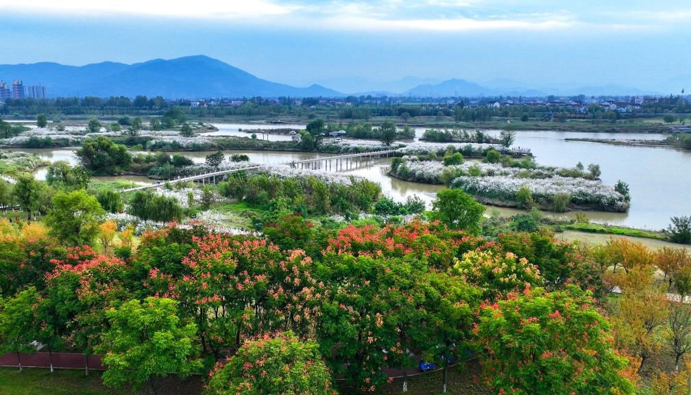 2022年10月11日拍攝的天漢濕地公園景色。新華社發(fā)（宋曉麗 攝）