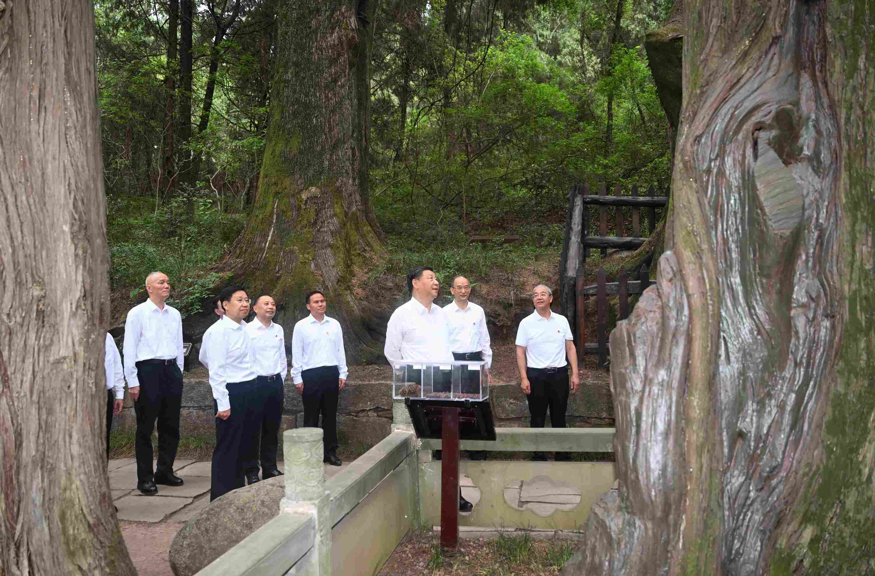 △2023年7月25日，習(xí)近平總書記在四川省廣元市考察了翠云廊古蜀道，了解當(dāng)?shù)赝七M(jìn)歷史文化傳承、加強(qiáng)生態(tài)文明建設(shè)等情況。