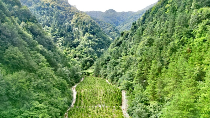 建設(shè)中的西氣東輸三線(xiàn)中段。受訪者供圖