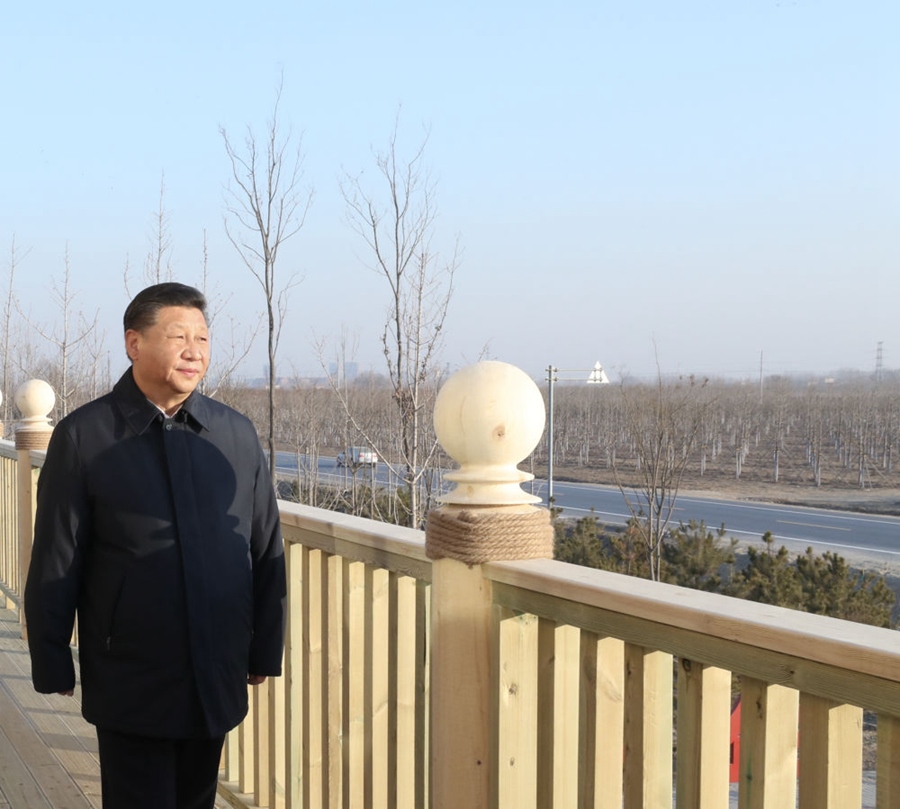 2019年1月16日，習(xí)近平在河北雄安新區(qū)考察調(diào)研。在“千年秀林”大清河片林一區(qū)造林區(qū)域，習(xí)近平登上秀林驛站二層平臺遠(yuǎn)眺林區(qū)全貌。