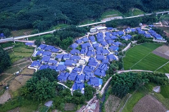 磨憨鎮(zhèn)曼莊村大龍哈小組現(xiàn)代化邊境幸福村新貌。人民網(wǎng)記者 符皓攝