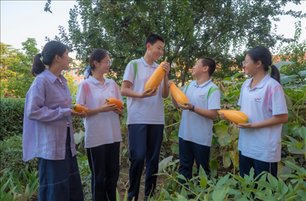 密云區(qū)第五中學(xué)豐收節(jié)活動(dòng)。北京市教委供圖