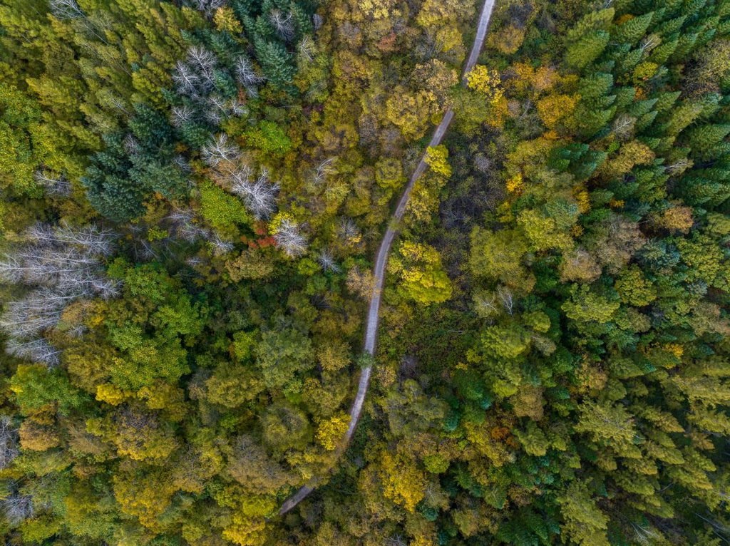 綠意盎然的長白山地區(qū)。王哲攝