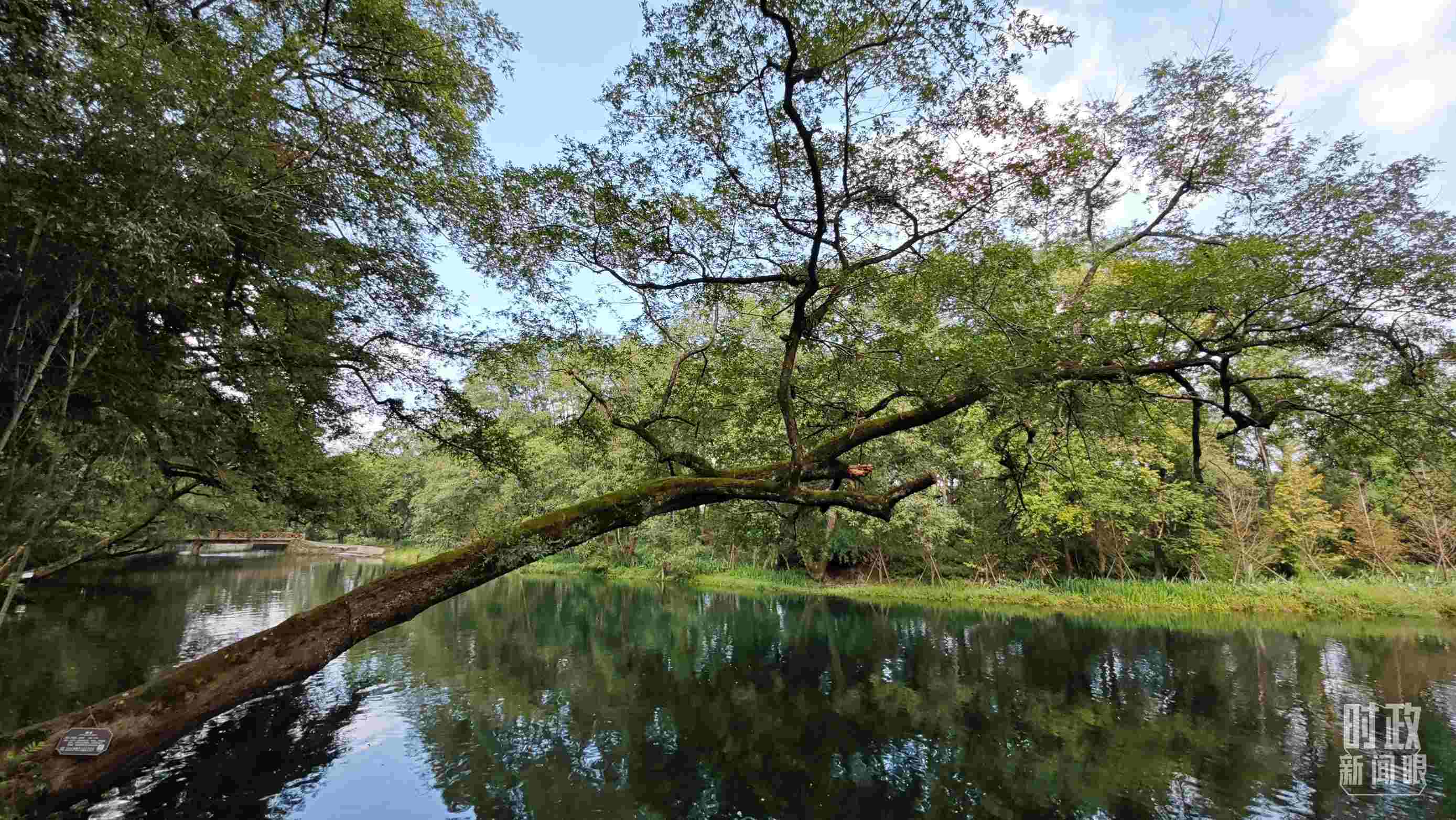 △饒河源國(guó)家濕地公園。（總臺(tái)央視記者郁振一拍攝）