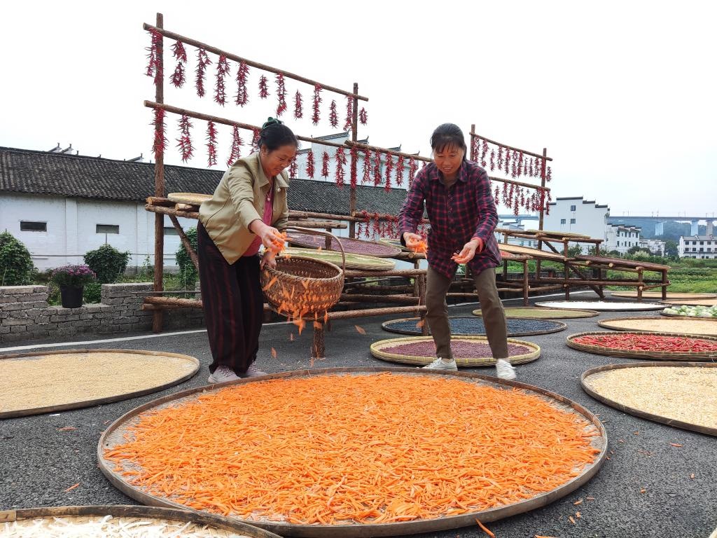 近日，江西省上饒市婺源縣秋口鎮(zhèn)王村的村民正在晾曬農(nóng)作物。新華社記者 劉佳敏 攝