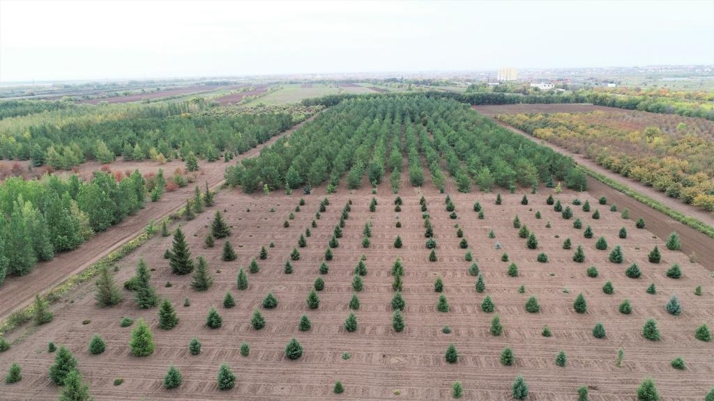 這是2023年9月11日在哈薩克斯坦首都阿斯塔納拍攝的一處植物種質(zhì)資源苗圃（無(wú)人機(jī)照片）。新華社發(fā)（法爾哈特·圖克諾夫 攝）