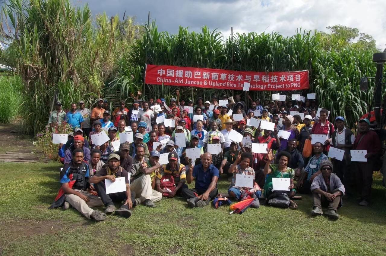 △2020年12月17日，在巴布亞新幾內(nèi)亞東高地省，參加中國援助巴新菌草和旱稻技術(shù)項(xiàng)目第9期培訓(xùn)班的當(dāng)?shù)孛癖娬故窘Y(jié)業(yè)證書。