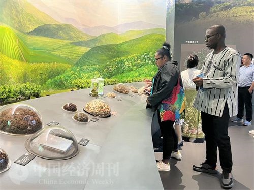  （在中國藥都中醫(yī)藥博物館，外媒記者了解中醫(yī)藥發(fā)展史。中國經(jīng)濟(jì)周刊記者 郭志強(qiáng) 攝）