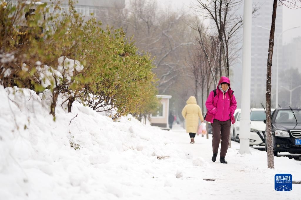 11月16日，市民在雪中前行。當(dāng)日，黑龍江哈爾濱市迎來(lái)雨雪天氣。新華社記者 王建威 攝
