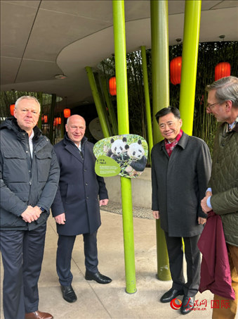 中國駐德國大使吳懇（右二）、柏林市長韋格納（左二）、動物園園長克尼里姆（右一）和監(jiān)事會主席布魯克曼（左一）共同為“夢想”“夢圓”大熊貓紀(jì)念牌揭幕。人民網(wǎng)記者 徐馨攝