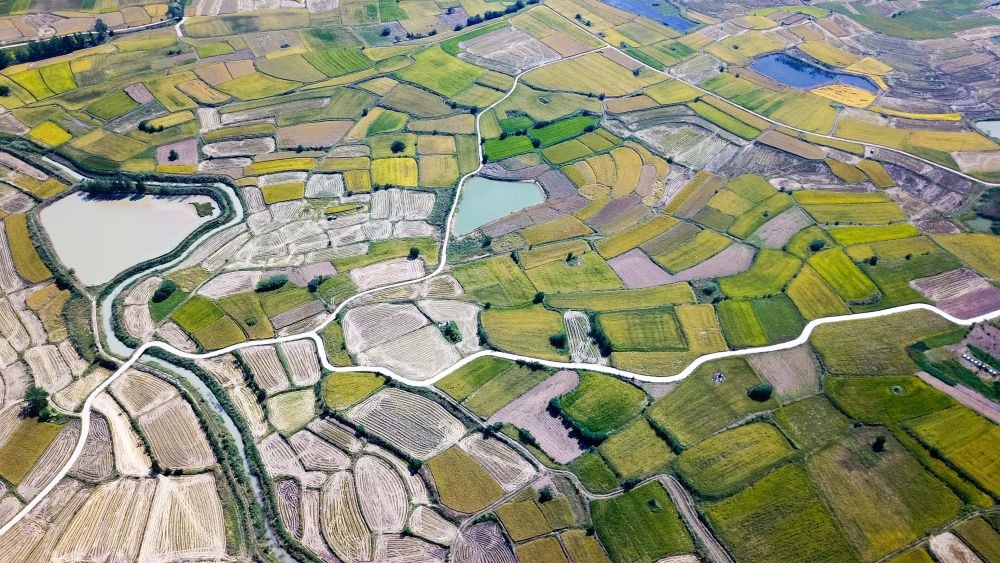 安徽省鳳陽縣小崗村的田野景象（2018年9月27日攝，無人機照片）。新華社記者 張端 攝