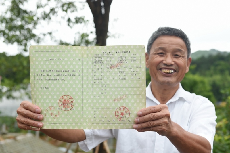 福建武平縣萬安鎮(zhèn)捷文村村民李桂林展示林權(quán)改革后領(lǐng)到的全國第一本新式林權(quán)證。