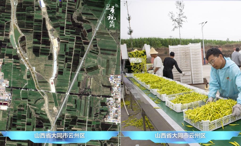 當(dāng)前，大同市開(kāi)發(fā)黃花菜品、食品、飲品、功能食品、化妝品、文創(chuàng)產(chǎn)品六大系列130余種，全產(chǎn)業(yè)鏈產(chǎn)值超40億元。