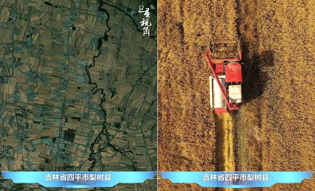 隨著現(xiàn)代化農(nóng)機(jī)普及應(yīng)用，保護(hù)性耕作“梨樹(shù)模式”得以大面積推廣，不僅使黑土地保護(hù)與利用持續(xù)深入，更為糧食作物高產(chǎn)穩(wěn)產(chǎn)助力。