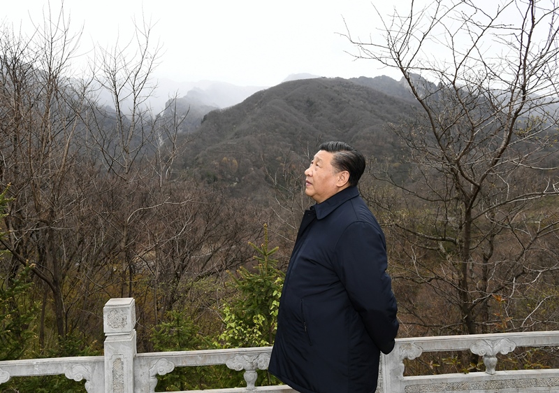 2020年4月20日，習近平在陜西秦嶺牛背梁國家級自然保護區(qū)，了解秦嶺生態(tài)保護工作情況。