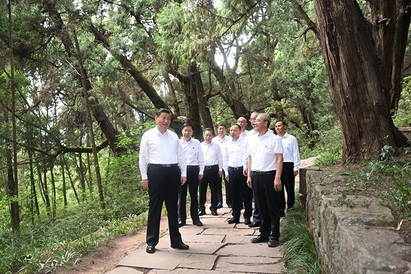 2023年7月25日，習(xí)近平總書記在四川廣元市劍閣縣翠云廊考察。新華社記者 謝環(huán)馳 攝