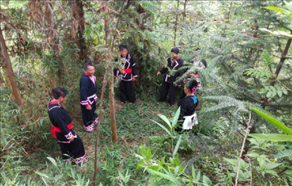 “瑤老”人民調(diào)解員翻山越嶺開展現(xiàn)場(chǎng)調(diào)解。