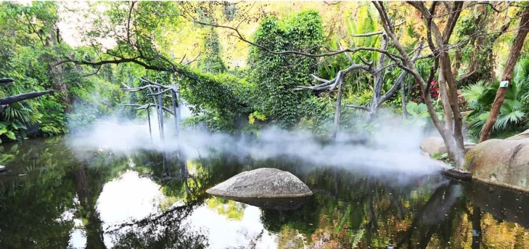 △鼓浪嶼-萬石山風(fēng)景名勝區(qū)重要組成部分廈門園林植物園熱門景點(diǎn)“雨林世界”。