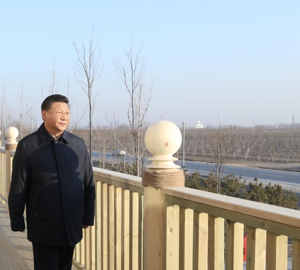 2019年1月16日，在河北雄安新區(qū)“千年秀林”大清河片林一區(qū)造林區(qū)域，習(xí)近平總書記登上秀林驛站二層平臺遠(yuǎn)眺林區(qū)全貌。新華社記者 鞠鵬 攝